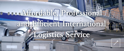 ffordable, Professional and Efficient International Logistics Service