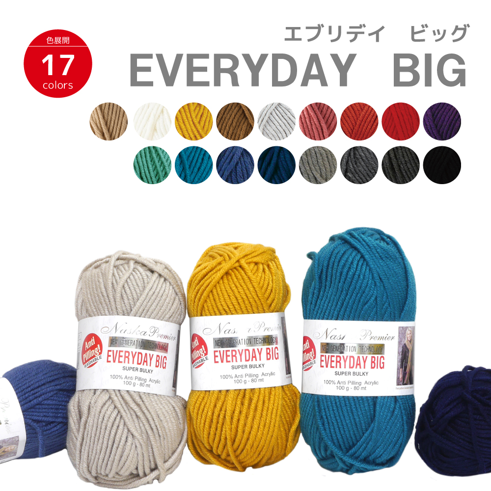 EVERYDAY BIG 100g Ball Roll Naito Shoji Washable Hand-knitted Anti-pilling Yarn NASKA knitting yarn