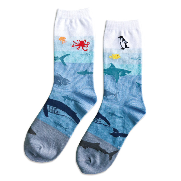 Socks (Marine biology)