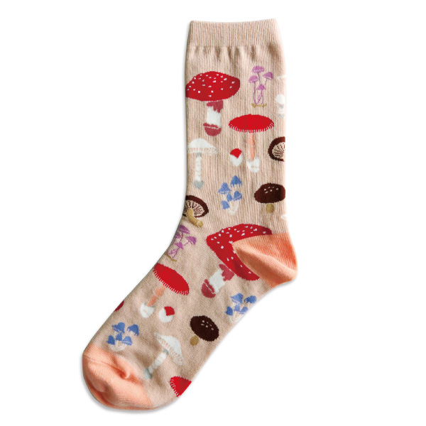 Socks (Mycology)
