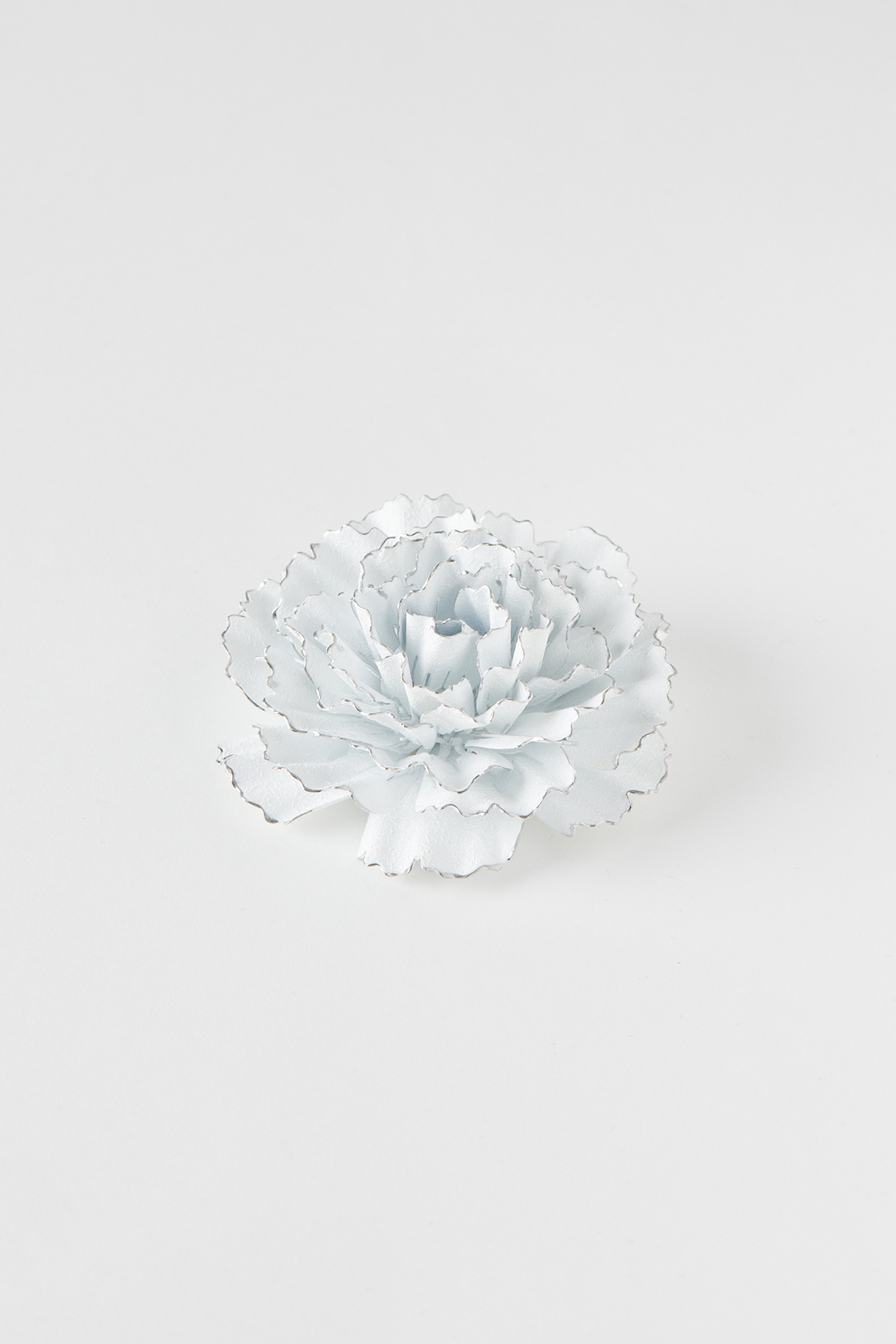 CARNATION-WHITE