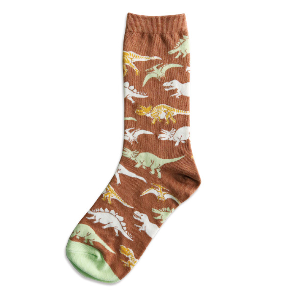 Socks (Paleontology)