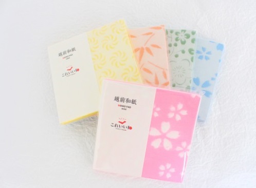 Echizen Washi memo pad mini