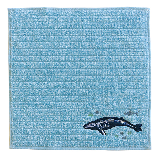 Towel handkerchief (Marine biology)