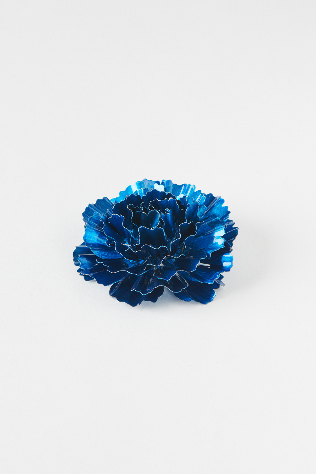 CARNATION-BLUE