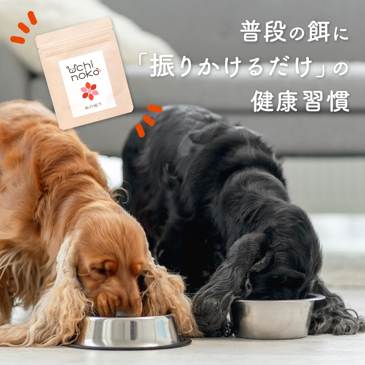 Chinese Medicine Supplement for Pets (For Blood Circulation)