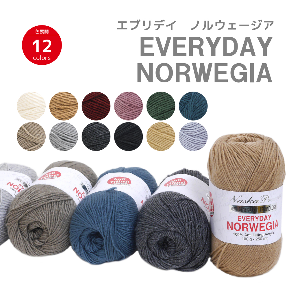 EVERYDAY NORWEGIA 100g ball roll Naito Shoji washable hand-knitted anti-pilling NASKA